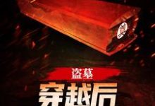 求盗墓:穿越后我系统无敌小说免费资源-贝壳文学