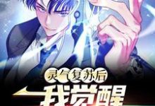 完结版《灵气复苏后,我觉醒S级天赋》免费阅读-贝壳文学