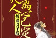 段青湘沈洛寒是哪本书的主角?被逼引子后,夫人离心已定免费读-贝壳文学