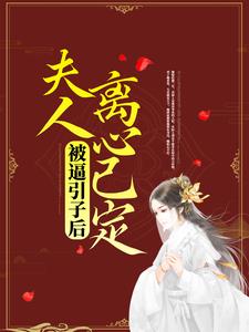 段青湘沈洛寒是哪本书的主角？被逼引子后，夫人离心已定免费读
