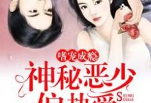 苏安凉郁之哈得斯商君为主角的小说好看吗?求嗜宠成瘾:神秘恶少偏执爱免费试读-贝壳文学