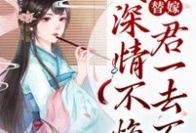 《替嫁：妾深情不悔，君一去不回》全集免费在线阅读（姜小鱼陆隐）-贝壳文学