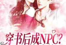 哪里能找到穿书后成NPC?我天天调戏美男小说的最新更新和免费章节?-贝壳文学
