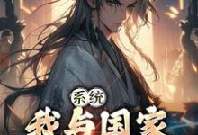 系统:我与国家共享气运赵风小说大结局免费试读-贝壳文学