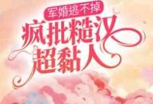 军婚逃不掉，疯批糙汉超黏人免费阅读，军婚逃不掉，疯批糙汉超黏人苏云云韩森-贝壳文学