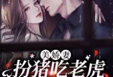 完结版《美娇妻扮猪吃老虎，爆改懒汉老公》章节目录在线阅读-贝壳文学