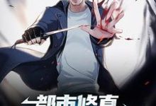 主人公秦守柳盈盈小说都市修真：道士下山要入世在线章节阅读-贝壳文学