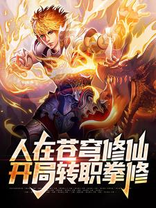 主人公叫叶安的小说哪里免费看