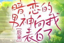 后来，暗恋的男神向我表白了 沈清林承洲小说免费阅读-贝壳文学
