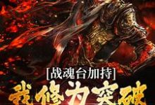 战魂台加持,我修为突破太快了!小说阅读,战魂台加持,我修为突破太快了!完结版-贝壳文学