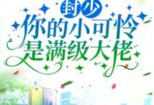 小说《封少，你的小可怜是满级大佬》在线章节阅读-贝壳文学