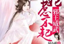 苏陶陶顾成禛小说叫什么（邪王威武：冥眼王妃惹不起免费阅读）-贝壳文学