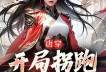 主角李琩杨玉环小说唐穿：开局拐跑杨玉环免费阅读-贝壳文学