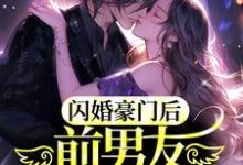 温月傅夜臣的故事在哪本书里?免费阅读闪婚豪门后,前男友敲门求和-贝壳文学
