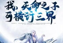 我，天命之子，可横行三界叶时安，我，天命之子，可横行三界章节在线阅读-贝壳文学