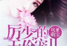 完结版《厉少的天价宠儿》章节阅读-贝壳文学