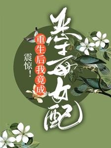震惊！重生后我竟成恶毒女配林枝，震惊！重生后我竟成恶毒女配在线无弹窗阅读