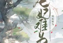 完结版《宠妃难为》在线免费阅读-贝壳文学
