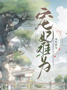 苏婉傅明渊为主角的小说好看吗？求宠妃难为免费试读
