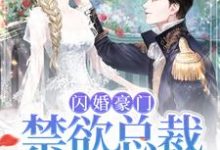 闪婚豪门:禁欲总裁宠入骨小说有没有完结版在线?-贝壳文学
