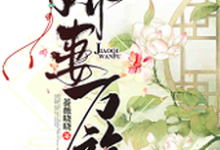 娇妻万福章节免费在线阅读，石锦绣宇文炎完结版-贝壳文学