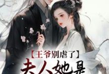 哪里能找到王爷别虐了，夫人她是嫡长公主！小说的全部章节？-贝壳文学