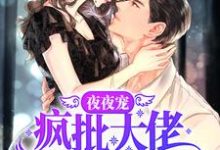 夜夜宠，疯批大佬霸道撩妻秦衍慕瓷，夜夜宠，疯批大佬霸道撩妻小说免费阅读-贝壳文学