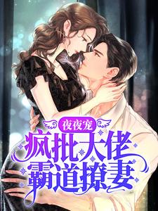 秦衍慕瓷为主角的小说好看吗？免费读夜夜宠，疯批大佬霸道撩妻