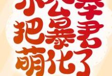 团宠降临!小公举把暴君萌化了须尽欢秦惑小说在线章节免费阅读-贝壳文学