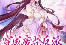 求穿成废柴反派，我狂撩女主小说的全文免费阅读链接-贝壳文学