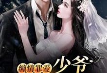 缠情罪爱：少爷，夫人逃跑了苏绵绵谢与淮小说免费阅读-贝壳文学