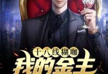 主角叫沈南倾战西宸小说十八线糊咖：我的金主是我小后妈章节免费阅读-贝壳文学