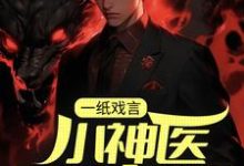 小说《一纸戏言，小神医下山成婚》章节阅读-贝壳文学