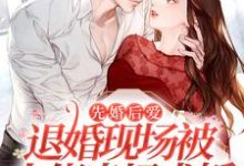 主角江慕晚厉瑾川小说先婚后爱：退婚现场被大佬当场求婚免费阅读-贝壳文学