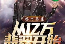 完结版《都市寻宝从亿万翡翠开始》在线免费阅读-贝壳文学