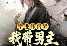 哪里能找到穿进修真界：我带男主得道升仙小说的全部章节？-贝壳文学