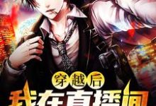 主人公叫苏晨的小说哪里免费看-贝壳文学
