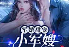 在线寻找容景辰叶沐栖的小说，军婚甜宠：小军嫂又美又娇免费阅读-贝壳文学
