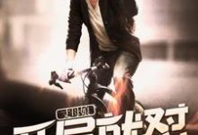 主角叶辰谢婷小说开局就怼丈母娘免费阅读-贝壳文学