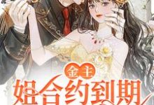 金主，姐合约到期，不伺候了！沈星冉时晏在线章节免费阅读-贝壳文学