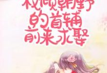 主角叫 顾南枝谢逆的小说在哪阅读-贝壳文学