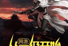 网游：从一级开始秒天秒地小说全文哪里可以免费看？-贝壳文学