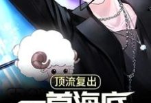 顶流复出，一首海底唱哭全网陆飞羽陆飞宇小说大结局免费试读-贝壳文学