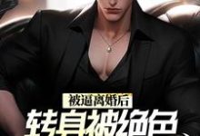 被逼离婚后，转身被绝色总裁带回家 陈江林清影在线章节免费阅读-贝壳文学