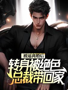 被逼离婚后，转身被绝色总裁带回家 陈江林清影在线章节免费阅读