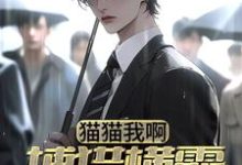 猫猫我啊，捕猎横霸都市了小说，猫猫我啊，捕猎横霸都市了章节在线阅读-贝壳文学