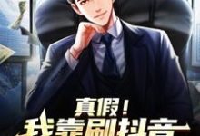 真假！我靠刷抖音走上人生巅峰陆青，真假！我靠刷抖音走上人生巅峰小说免费阅读-贝壳文学