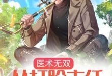 哪里可以免费读到陆安的完整故事?寻找医术无双:从打脸主任开始无敌-贝壳文学