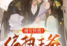 完结版《傻女快逃！偏执王爷太会撩》章节目录在线阅读-贝壳文学