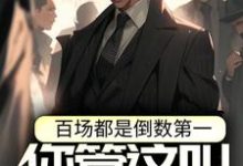 主角叫牧夜小说百场都是倒数第一，你管这叫天才？章节免费阅读-贝壳文学
